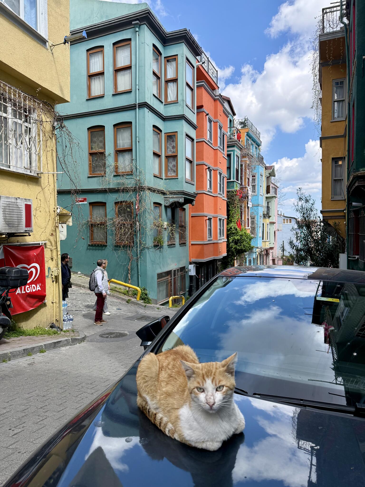 Balat